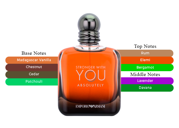 Stronger With You Absolutely for Men -100ml Eau de Parfum by Armani