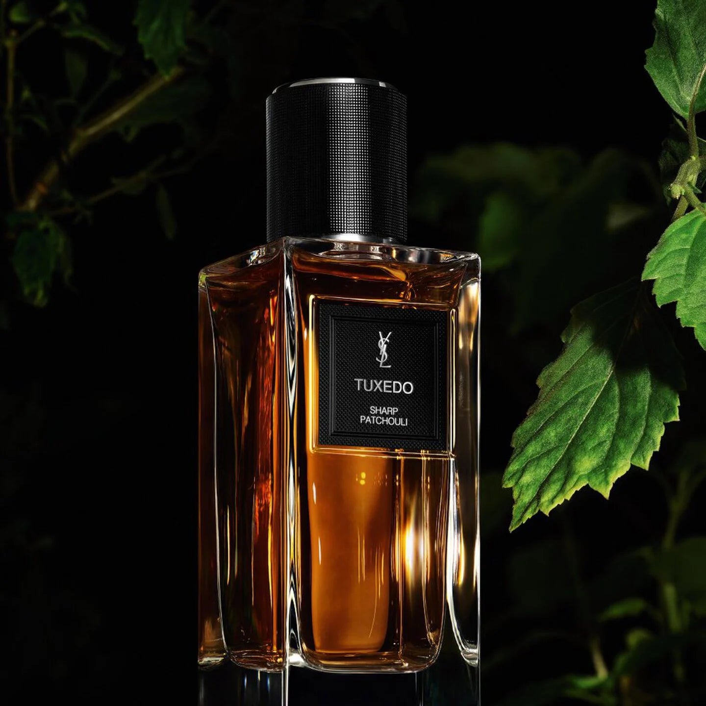YSL Tuxedo Sharp Patchouli 125ML ORIGINAL