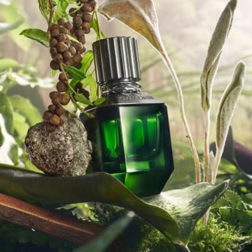 Roberto Cavalli Paradise Found EDT